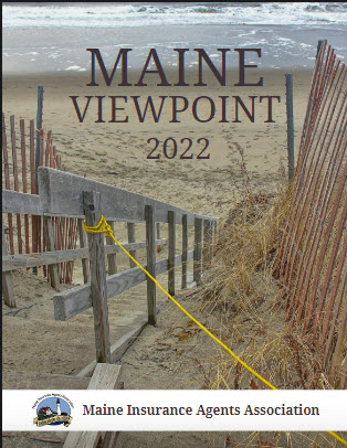 Viewpoint Cover.jpg
